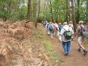 2011-09-25 10-21-59 Le Bois de Roscoure MBo